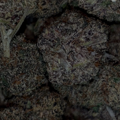 4/20 Special | Atomic Fuego | INDICA | 28-34% THC | $100 an oz | $150 for 2 ozs | thumbnail 2