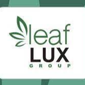 Leaf Lux - Holyoke