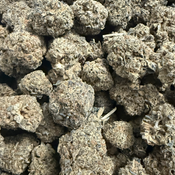 POISON  3 oz 170