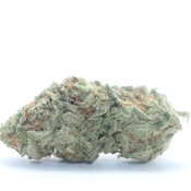 AAA++ Northern Lights