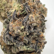 *NEW* Bombsicle 4A