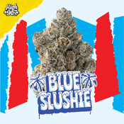 High 90s : Blue Slushie 3.5g Flower