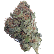 BC (AAA)  GREEN CRACK thumbnail 3