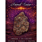 Animal Caviar 🦒 | SALE | 29-33% THC | INDICA | $100 an oz | $150 for 2 ozs | 