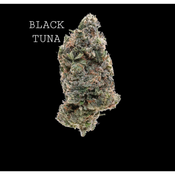 BLACK TUNA