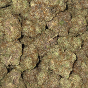 CHIMERA#3( kraft kronic) 🔥🔥🔥🔥🔥 