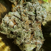 *** NEW MAY 6 *** Frosted Fruit Cakes LSO MEDS SUPER GAS - By Knockout Cannabis 70/30 Indica