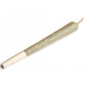 Blueberry Pre Roll