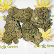 *******GREEN GOBLIN******