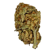 BC (AAAA) BLUE LOBSTER thumbnail 2