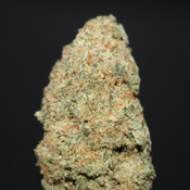 AAAA | CANDY PACK BY C.E. - 7G 