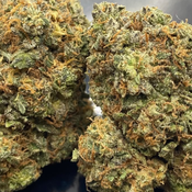  Alien Black Out High Grade