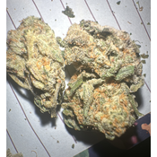 *BANANA DISTRACTION // SPECIAL PRICE SATIVA