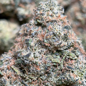 (28G) - Apple MAC 🎰🍎Indica - 2Oz Bulk Deal for $150 thumbnail 2