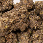 Sherbquake: 32% - 2oz @ $180, 4oz @ $350