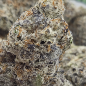 (NEW) Humble Pie 🥧  ($140/Oz) 🔥  thumbnail 3