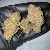Ghost Rider OG | 24-28% THC | SATIVA | $100 OZ | $180 / 2 OZ thumbnail 3