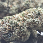 (NEW) SlurriCrasher $120/Oz 🔥  thumbnail 2