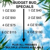 2 OZ $50 & $65 / 4 OZ $75 & $100 / 8 OZ $115 & $190 / 16 oz $350 - (PLUS 1 OZ SHAKE / 2 PREROLLS / 1g HASH OR 1g QUADS AAAA+ OR EDIBLES)