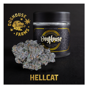 HELLCAT