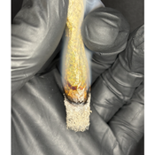 !$40/Q  Living Harvest- Pink Alien thumbnail 3