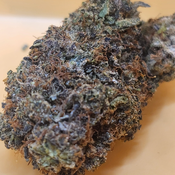 (5 STARS) Bubba Haze💯🔥💣⛽️ 2 Oz for 250