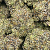 Blue Godfather OG  (Premium AAAA Gas) - 2oz @ $260