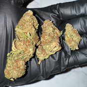 Candy Land | 18-22% THC | BALANCED HYBRID | $45 OZ | $80 / 2 OZ | $115 / 3 OZ | $150 / 4 OZ thumbnail 3