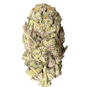 *********Biscotti