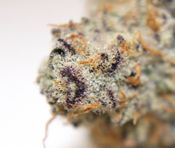 Three Rivers Dispensary Denver MED