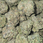50% PINK KUSH SNOWBALL  thumbnail 3