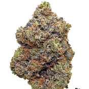 AAAA+ ISLAND PINK  - NEW DROP SALE - BC SUPER GAS thumbnail 2