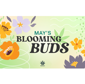May Deals ⭐️