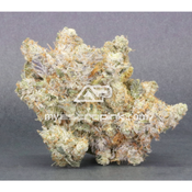   Astropink | Lot #1024 | ATOMIC PINK (7g / 14g)