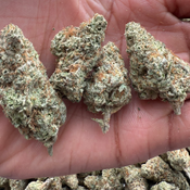 COLIN OG 120OZ 2FOR220 4FOR420