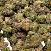 AAAA Thin Mint thumbnail 2