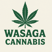 WASAGA CONNECTION