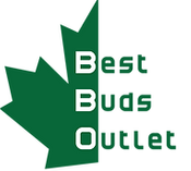 BEST BUDS OUTLET