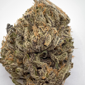 *NEW* Ice Cream Gelato // 2oz for $150