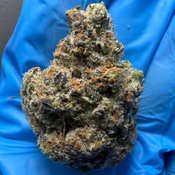 BLUE RUNTZ (Blueberry x Runtz) New batch*