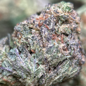 (28G) - First Class Gas🥇⛽Indica | Qp Bulk Deal for $200 thumbnail 3