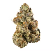 AAA Gelato [2oz for $80][4oz for $140][8oz for $225]