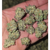 APPLE FRITTER SMALLS AAAA 100OZ 2FOR180  4FOR340 thumbnail 2