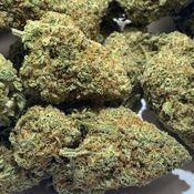 (NEW) Ghost Train Haze  **110oz**  SATIVA thumbnail 3