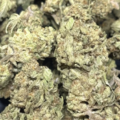 Bubble Gum - 55$ oz 