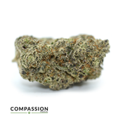 Donkey Grease Kush 'DGK' 