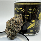 !$150/oz Pink Gorilla thumbnail 3