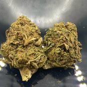 * NEW * money pug 2A [ $210 for 4 oz]