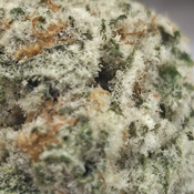 (NEW) Ice Cream Cake 🎂  thumbnail 3