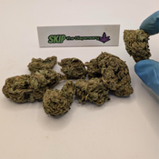 Blueberry Sundae  thumbnail 2